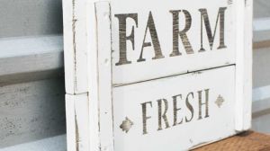 Image courtesy: Florida Film Festival