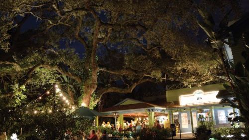 Enzian-2016_720_405_80