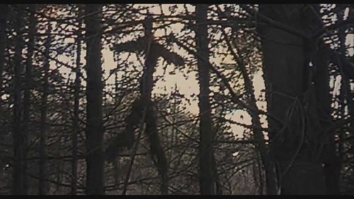 The Blair Witch Project Brush Figure