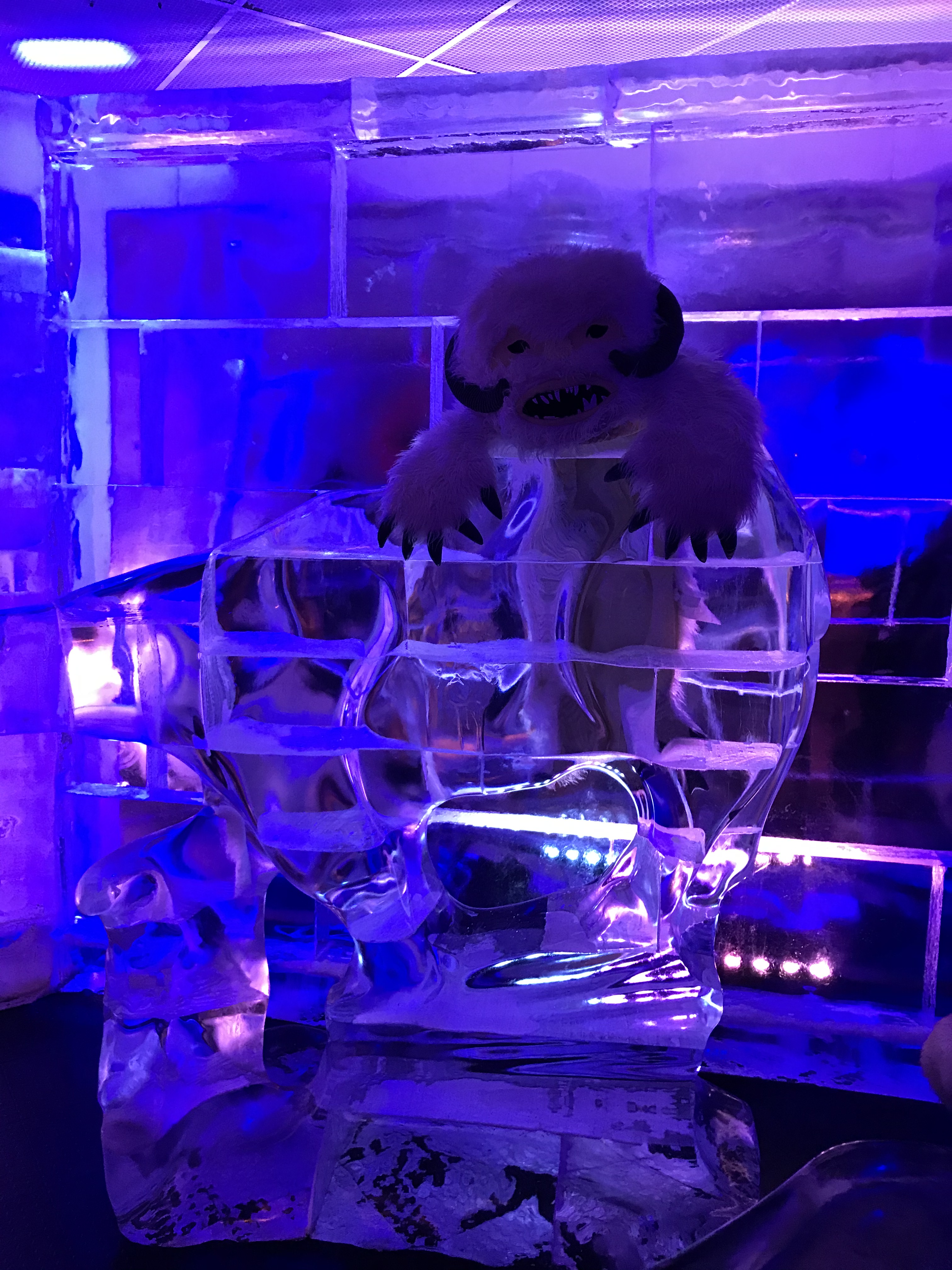 Ice Sculpture